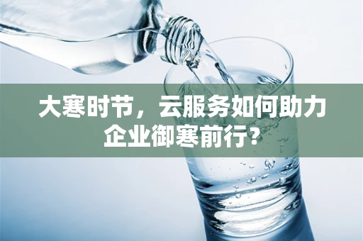 大寒时节，云服务如何助力企业御寒前行？