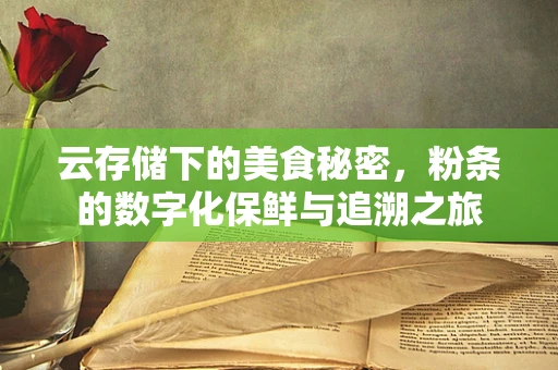 云存储下的美食秘密，粉条的数字化保鲜与追溯之旅