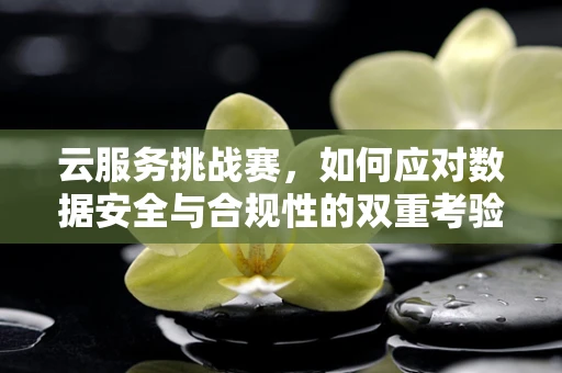 云服务挑战赛，如何应对数据安全与合规性的双重考验？