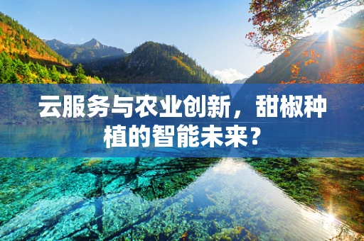 云服务与农业创新，甜椒种植的智能未来？
