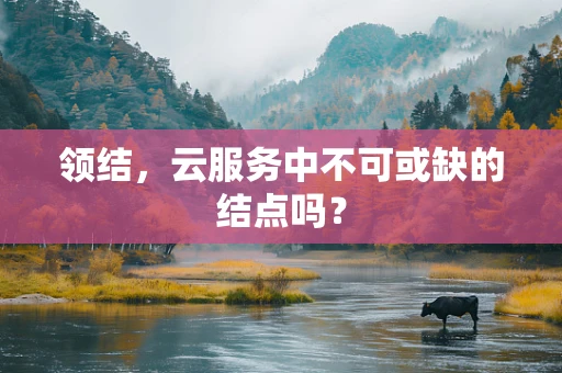 领结，云服务中不可或缺的结点吗？