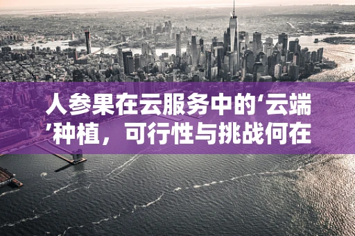 人参果在云服务中的‘云端’种植，可行性与挑战何在？