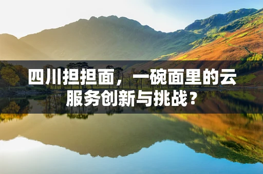 四川担担面，一碗面里的云服务创新与挑战？