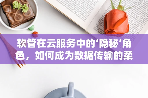 软管在云服务中的‘隐秘’角色，如何成为数据传输的柔性动脉？