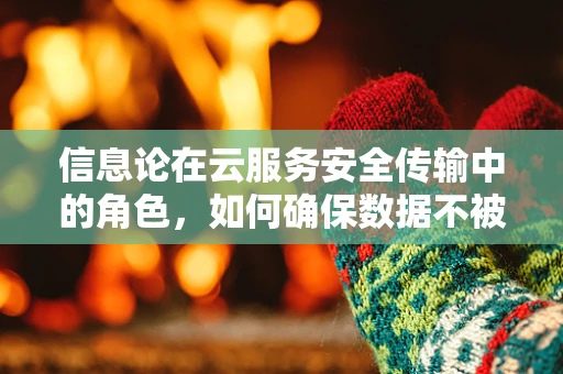 信息论在云服务安全传输中的角色，如何确保数据不被窃听？
