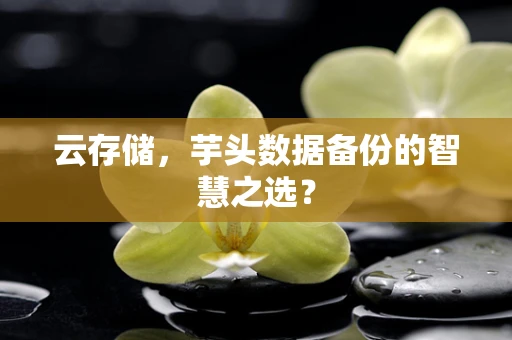 云存储，芋头数据备份的智慧之选？