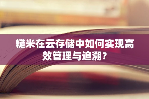 糙米在云存储中如何实现高效管理与追溯？