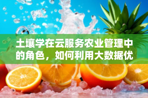 土壤学在云服务农业管理中的角色，如何利用大数据优化土壤健康？