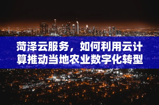 菏泽云服务，如何利用云计算推动当地农业数字化转型？