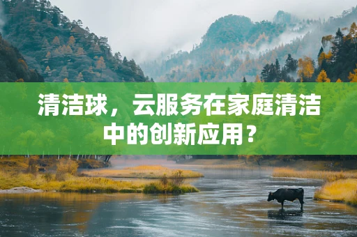 清洁球，云服务在家庭清洁中的创新应用？