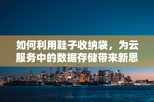 如何利用鞋子收纳袋，为云服务中的数据存储带来新思路？