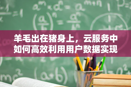 羊毛出在猪身上，云服务中如何高效利用用户数据实现增值？