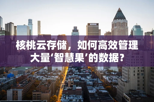 核桃云存储，如何高效管理大量‘智慧果’的数据？