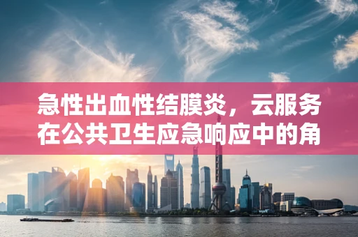 急性出血性结膜炎，云服务在公共卫生应急响应中的角色与挑战