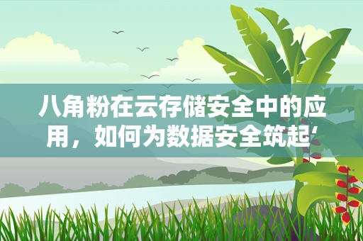 八角粉在云存储安全中的应用，如何为数据安全筑起‘香料’防线？