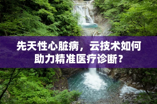 先天性心脏病，云技术如何助力精准医疗诊断？