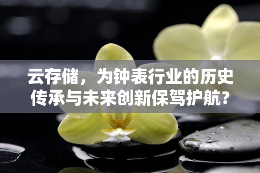 云存储，为钟表行业的历史传承与未来创新保驾护航？