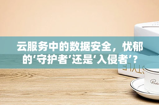 云服务中的数据安全，忧郁的‘守护者’还是‘入侵者’？