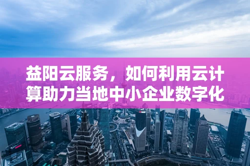 益阳云服务，如何利用云计算助力当地中小企业数字化转型？