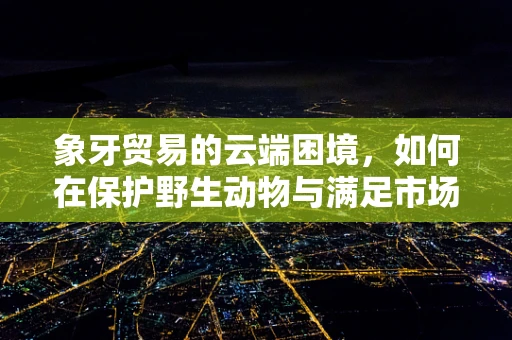 象牙贸易的云端困境，如何在保护野生动物与满足市场需求间找到平衡？