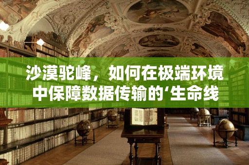 沙漠驼峰，如何在极端环境中保障数据传输的‘生命线’？