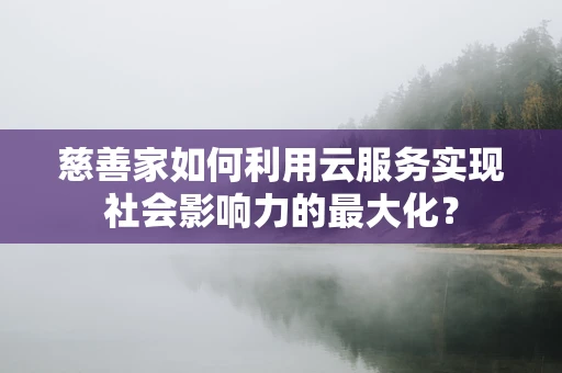 慈善家如何利用云服务实现社会影响力的最大化？